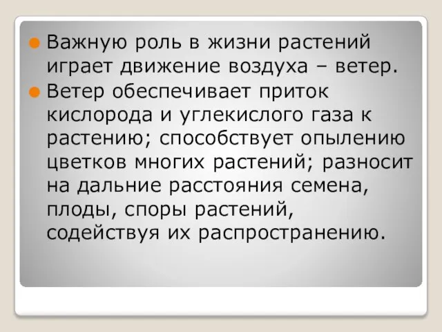 Важную роль в жизни растений играет движение воздуха – ветер. Ветер обеспечивает