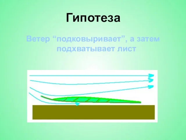 Гипотеза Ветер “подковыривает”, а затем подхватывает лист