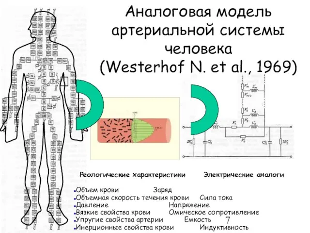 Объем крови Заряд Объемная скорость течения крови Сила тока Давление Напряжение Вязкие