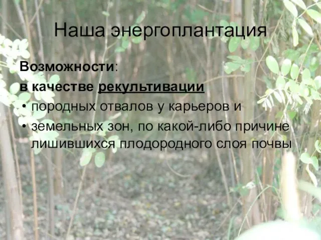 Наша энергоплантация Возможности: в качестве рекультивации породных отвалов у карьеров и земельных