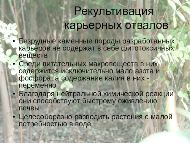 Рекультивация карьерных отвалов Безрудные каменные породы разработанных карьеров не содержат в себе