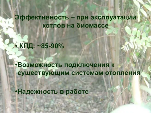 Эффективность – при эксплуатации котлов на биомассе КПД: ~85-90% Возможность подключения к