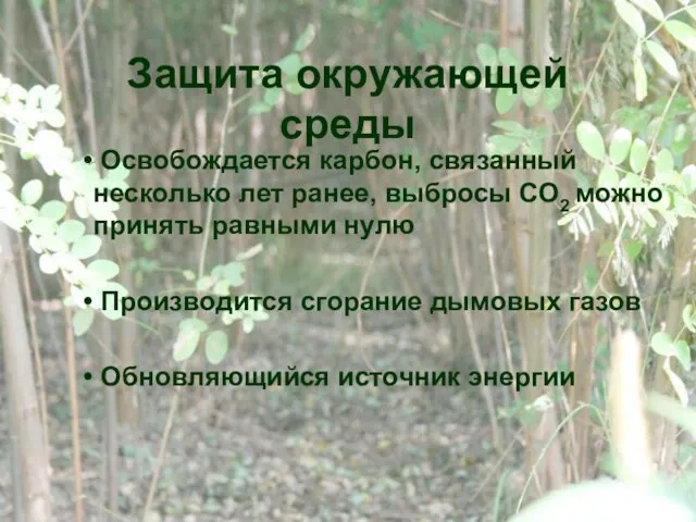 Защита окружающей среды Освобождается карбон, связанный несколько лет ранее, выбросы CO2 можно