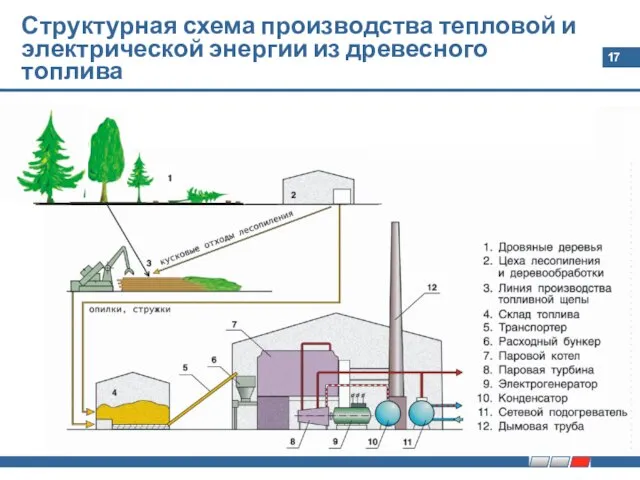 Структурная схема производства тепловой и электрической энергии из древесного топлива