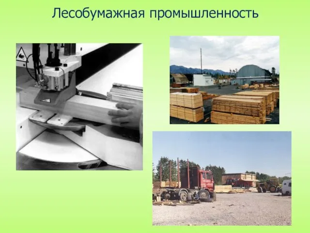 Лесобумажная промышленность