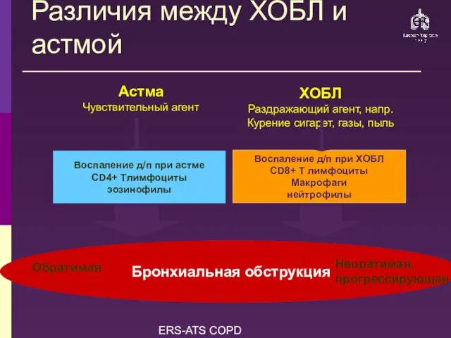 ERS-ATS COPD Guidelines Бронхиальная обструкция Различия между ХОБЛ и астмой Aстма Чувствительный