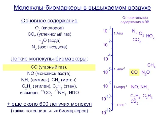 Молекулы-биомаркеры в выдыхаемом воздухе О2 (кислород) СО2 (углекислый газ) Н2О (вода) N2