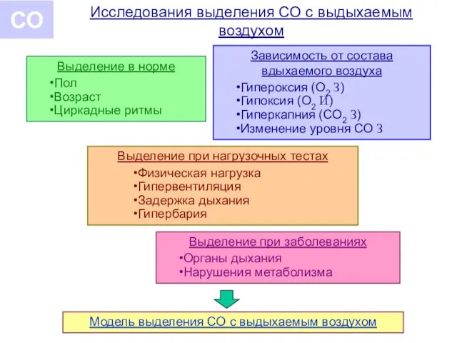 Исследования выделения СО с выдыхаемым воздухом Выделение в норме Пол Возраст Циркадные