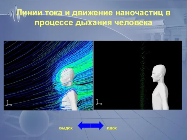 Линии тока и движение наночастиц в процессе дыхания человека вдох выдох