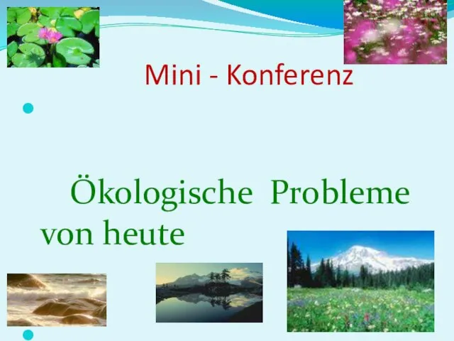 Mini - Konferenz Ökologische Probleme von heute