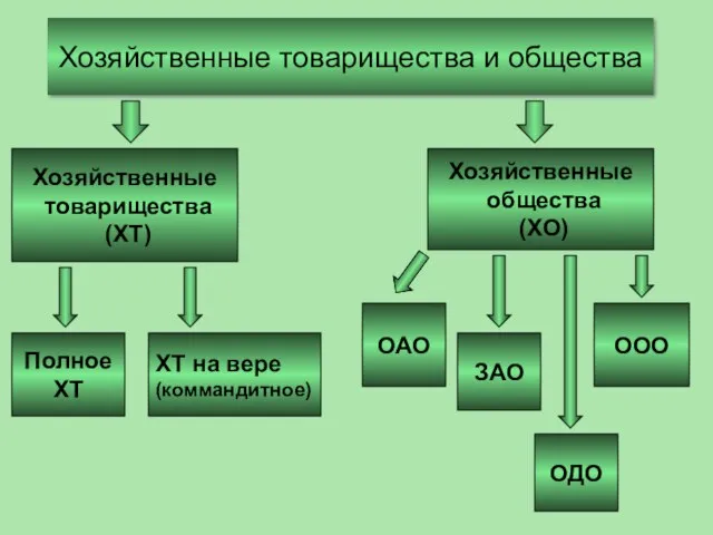 Хозяйственные товарищества и общества Хозяйственные товарищества (ХТ) Полное ХТ Хозяйственные общества (ХО)