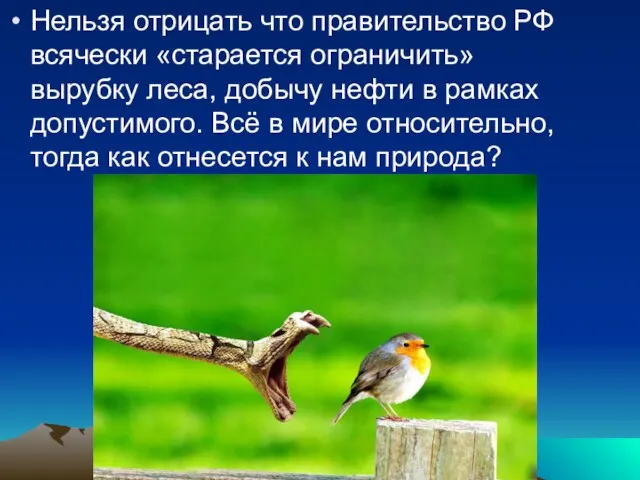 Нельзя отрицать что правительство РФ всячески «старается ограничить» вырубку леса, добычу нефти