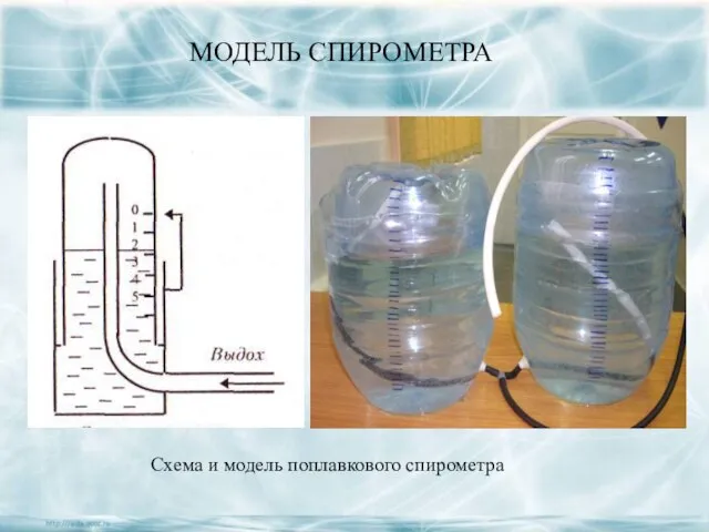 МОДЕЛЬ СПИРОМЕТРА Схема и модель поплавкового спирометра