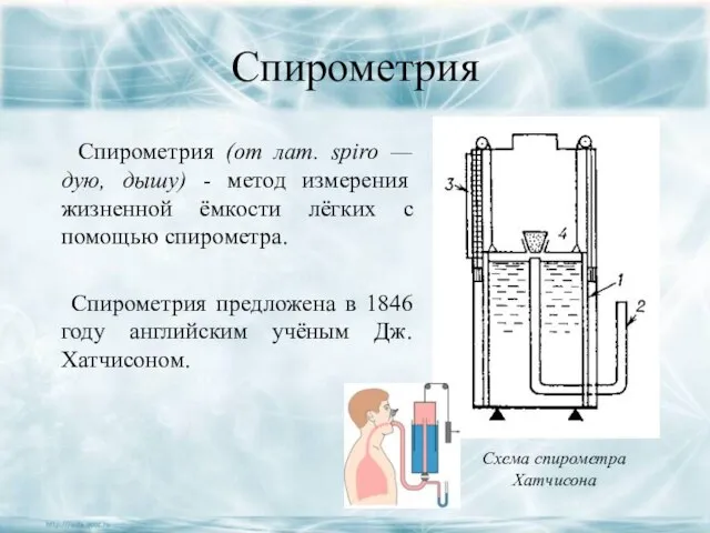 Спирометрия Спирометрия (от лат. spiro — дую, дышу) - метод измерения жизненной