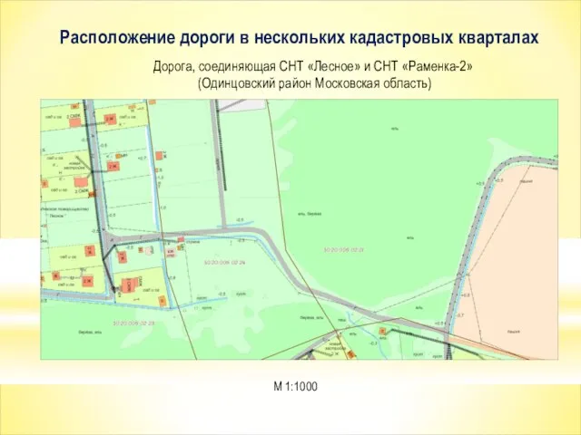 Расположение дороги в нескольких кадастровых кварталах М 1:1000 Дорога, соединяющая СНТ «Лесное»