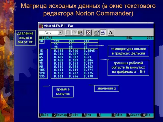 Матрица исходных данных (в окне текстового редактора Norton Commander)