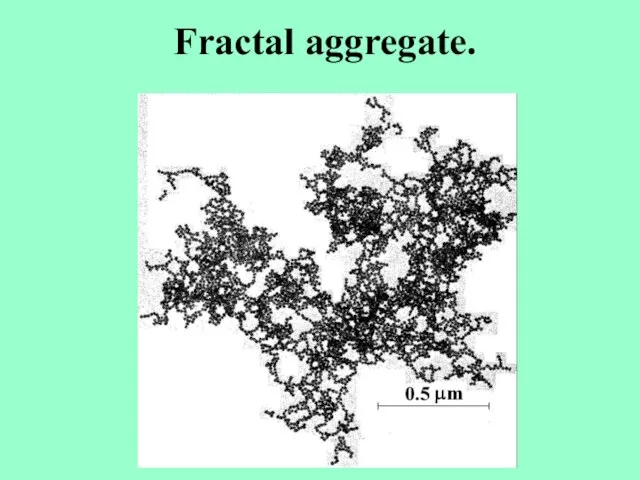 Fractal aggregate.