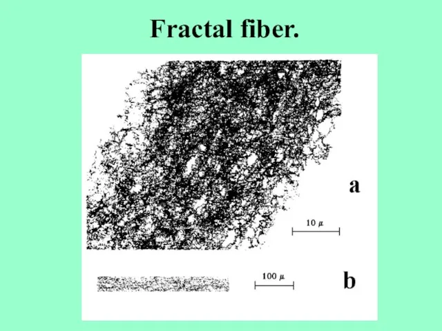 Fractal fiber.