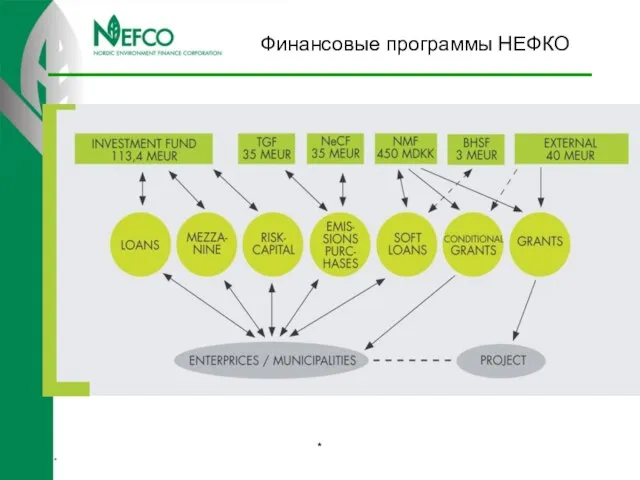 Финансовые программы НЕФКО * *