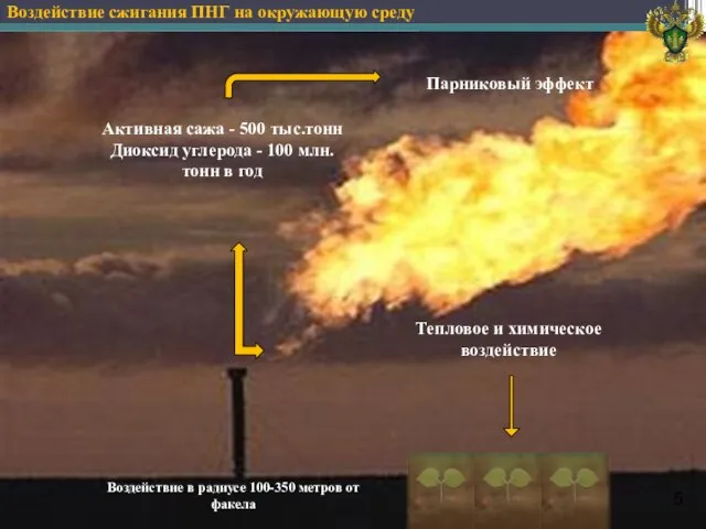 Воздействие в радиусе 100-350 метров от факела Воздействие сжигания ПНГ на окружающую