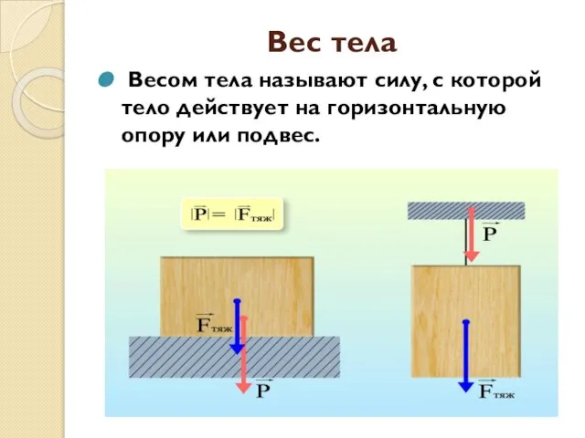 Вес тела Весом тела называют силу, с которой тело действует на горизонтальную опору или подвес.