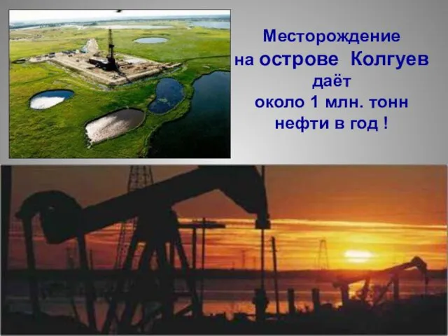 Месторождение на острове Колгуев даёт около 1 млн. тонн нефти в год !