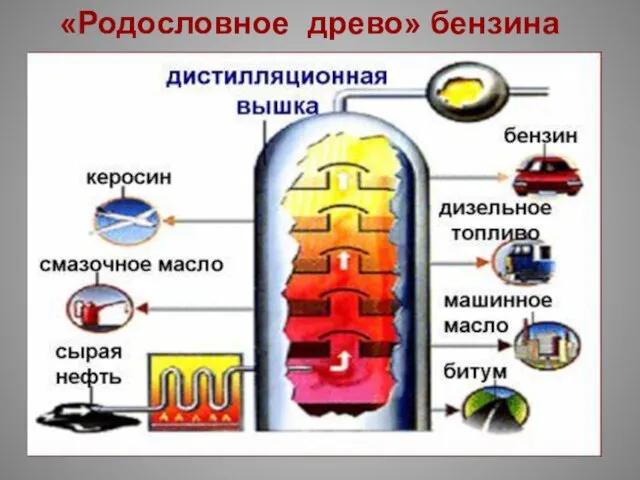 «Родословное древо» бензина