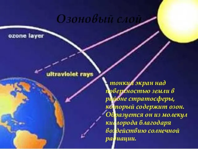 Озоновый слой – тонкий экран над поверхностью земли в районе стратосферы, который