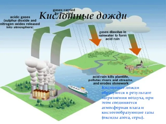 Кислотные дожди Кислотные дожди образуются в результате загрязнения воздуха, при этом соединяется