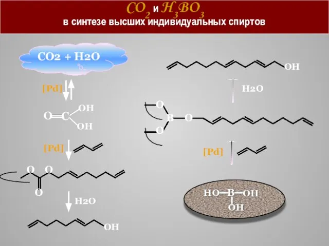 CO2 и H3BO3 в синтезе высших индивидуальных спиртов СO2 + H2O O