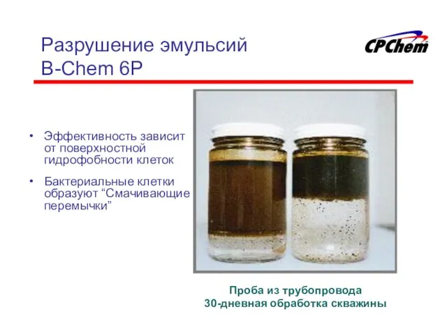 Разрушение эмульсий B-Chem 6P Эффективность зависит от поверхностной гидрофобности клеток Бактериальные клетки образуют “Смачивающие перемычки”