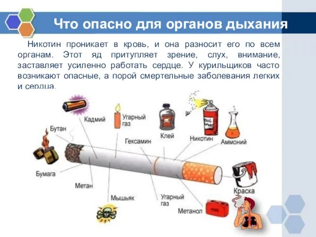 Что опасно для органов дыхания Никотин проникает в кровь, и она разносит