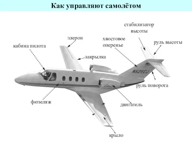 крыло двигатель хвостовое оперенье руль поворота руль высоты стабилизатор высоты фюзеляж кабина