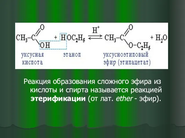 Реакция образования сложного эфира из кислоты и спирта называется реакцией этерификации (от лат. ether - эфир).