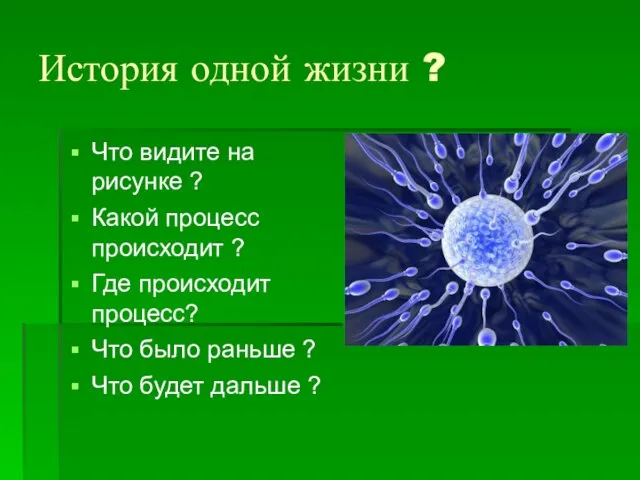 История одной жизни ? Что видите на рисунке ? Какой процесс происходит