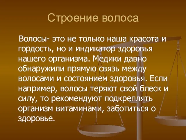 Строение волоса Волосы- это не только наша красота и гордость, но и