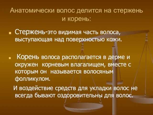 Анатомически волос делится на стержень и корень: Стержень-это видимая часть волоса, выступающая