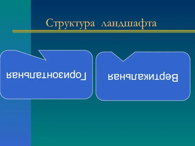 Структура ландшафта Горизонтальная Вертикальная