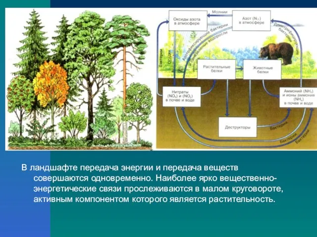 В ландшафте передача энергии и передача веществ совершаются одновременно. Наиболее ярко вещественно-энергетические