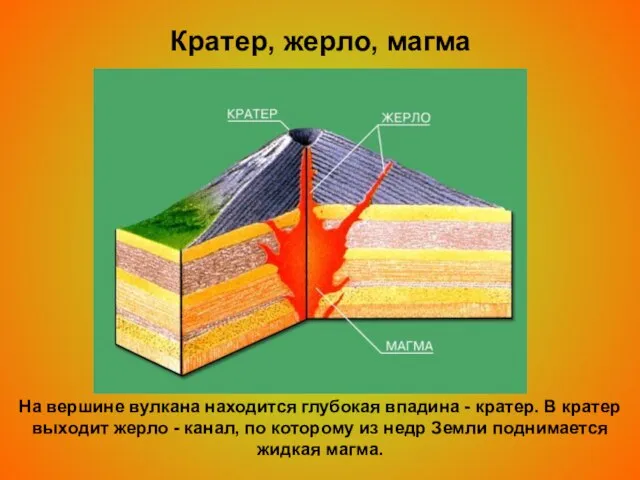 Кратер, жерло, магма На вершине вулкана находится глубокая впадина - кратер. В