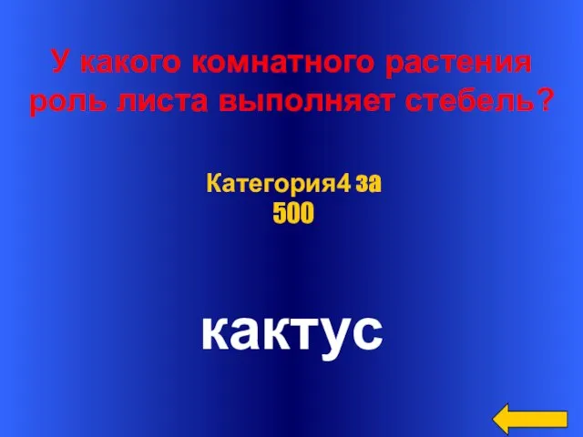 У какого комнатного растения роль листа выполняет стебель? кактус Категория4 за 500