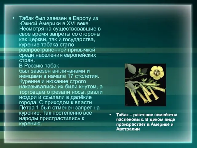 Табак был завезен в Европу из Южной Америки в XVI веке. Несмотря