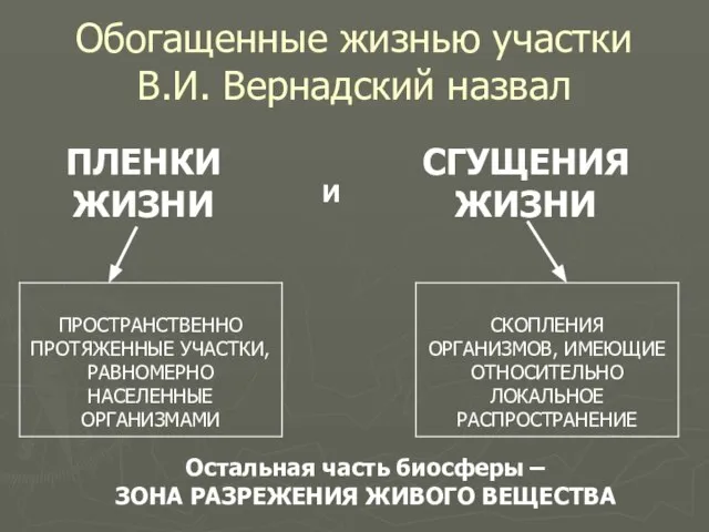 Обогащенные жизнью участки В.И. Вернадский назвал ПЛЕНКИ ЖИЗНИ СГУЩЕНИЯ ЖИЗНИ И Остальная