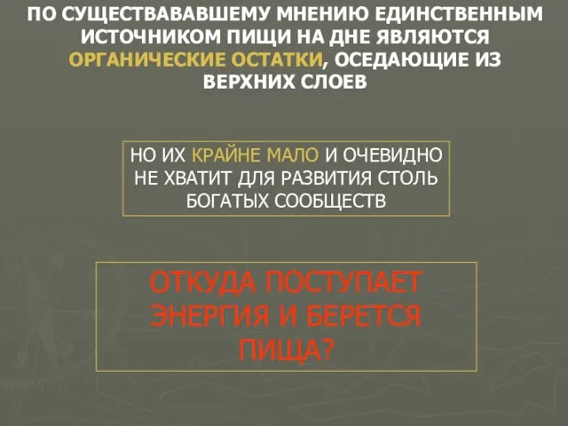 ПО СУЩЕСТВАВАВШЕМУ МНЕНИЮ ЕДИНСТВЕННЫМ ИСТОЧНИКОМ ПИЩИ НА ДНЕ ЯВЛЯЮТСЯ ОРГАНИЧЕСКИЕ ОСТАТКИ, ОСЕДАЮЩИЕ