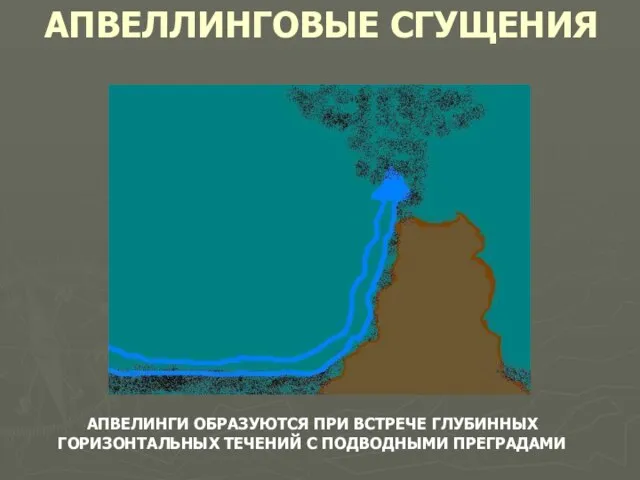 АПВЕЛЛИНГОВЫЕ СГУЩЕНИЯ АПВЕЛИНГИ ОБРАЗУЮТСЯ ПРИ ВСТРЕЧЕ ГЛУБИННЫХ ГОРИЗОНТАЛЬНЫХ ТЕЧЕНИЙ С ПОДВОДНЫМИ ПРЕГРАДАМИ