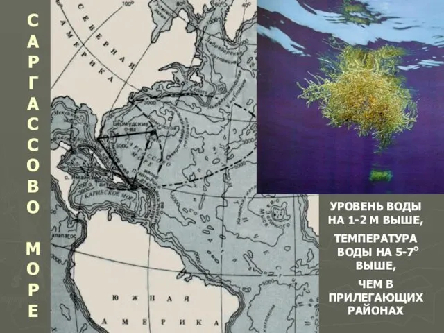 САРГАССОВО МОРЕ УРОВЕНЬ ВОДЫ НА 1-2 М ВЫШЕ, ТЕМПЕРАТУРА ВОДЫ НА 5-7