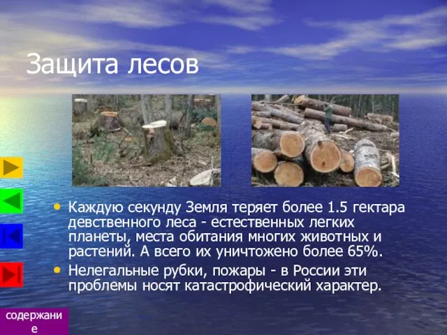 Защита лесов Каждую секунду Земля теряет более 1.5 гектара девственного леса -