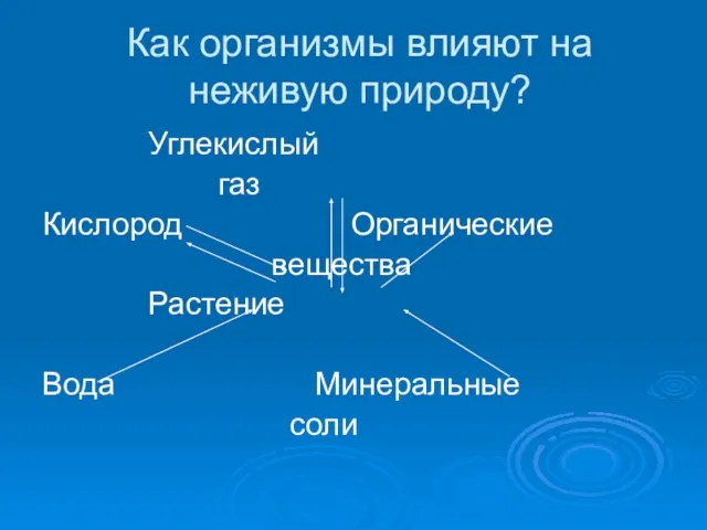 Как организмы влияют на неживую природу? Углекислый газ Кислород Органические вещества Растение Вода Минеральные соли