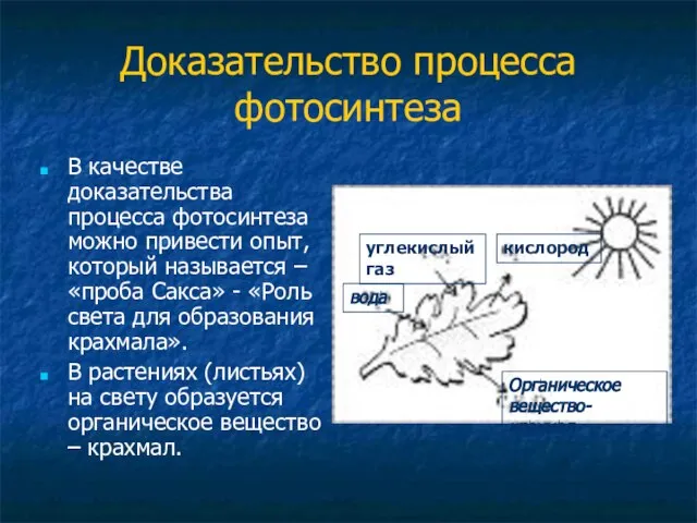 Доказательство процесса фотосинтеза В качестве доказательства процесса фотосинтеза можно привести опыт, который