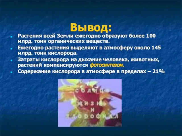 Вывод: Растения всей Земли ежегодно образуют более 100 млрд. тонн органических веществ.